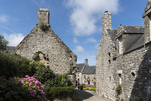 Street with hortensia. Locronan, Finistère, Brittany, France.