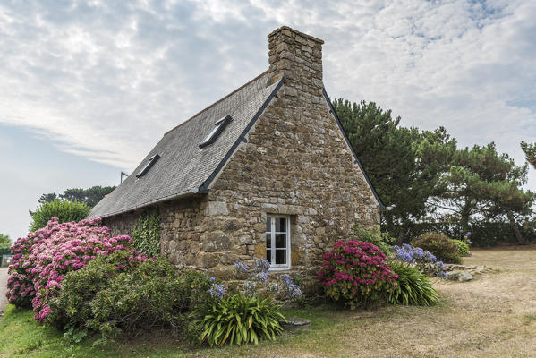 House with hortensiae. Bréhat island, Côtes-d'Armor, Brittany, France.