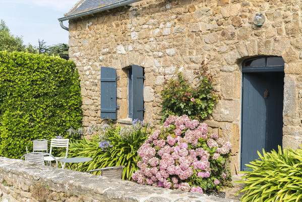 House with hortensiae. Bréhat island, Côtes-d'Armor, Brittany, France.