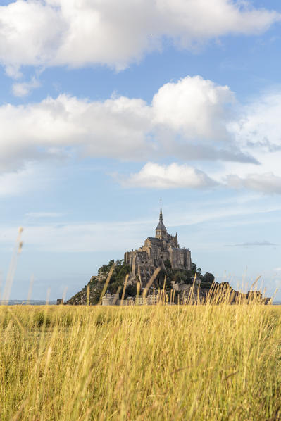 Clouds in the sky and grass in the foreground. Mont-Saint-Michel, Normandy, France.