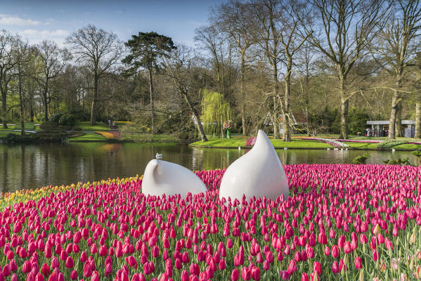 Bulblike sculpture and pink tulips at Keukenhof Gardens. Lisse, South Holland province, Netherlands.