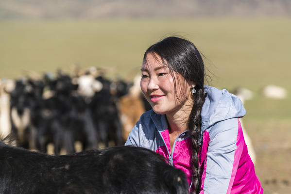 Nomadic woman milking a goat. Bayandalai district, South Gobi province, Mongolia.