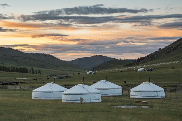 Nomadic gers and livestock in the background at sunset. Burentogtokh district, Hovsgol province, Mongolia.