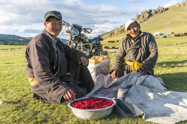 Two nomadic men with red berries to sell. Burentogtokh district, Hovsgol province, Mongolia.