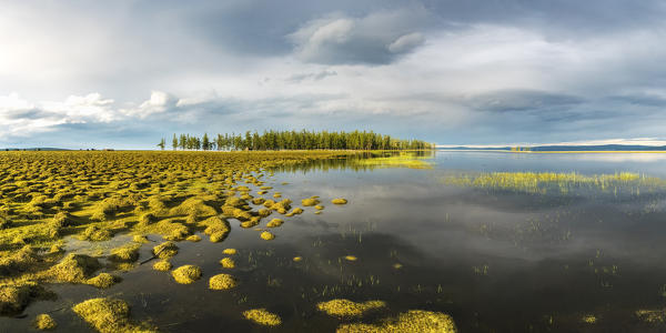 Golden light at Hovsgol Lake. Hovsgol province, Mongolia.
