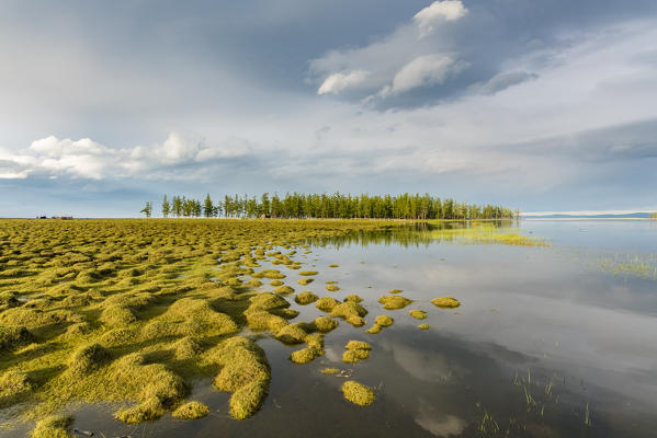 Golden light at Hovsgol Lake. Hovsgol province, Mongolia.