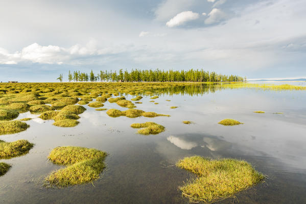 Golden light at Hovsgol Lake. Hovsgol province, Mongolia.
