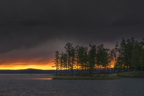 Fir trees on the shores of Hovsgol Lake at sunset. Hovsgol province, Mongolia.