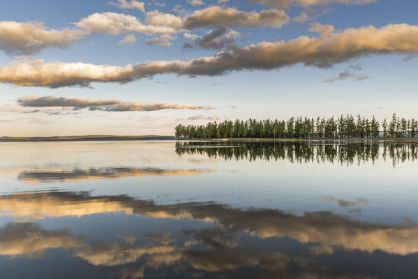 Fir trees and clouds reflecting on the suface of Hovsgol Lake at sunset. Hovsgol province, Mongolia.