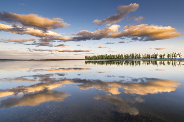 Fir trees and clouds reflecting on the suface of Hovsgol Lake at sunset. Hovsgol province, Mongolia.