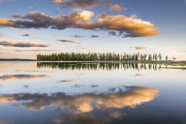 Fir trees and clouds reflecting on the suface of Hovsgol Lake at sunset. Hovsgol province, Mongolia.