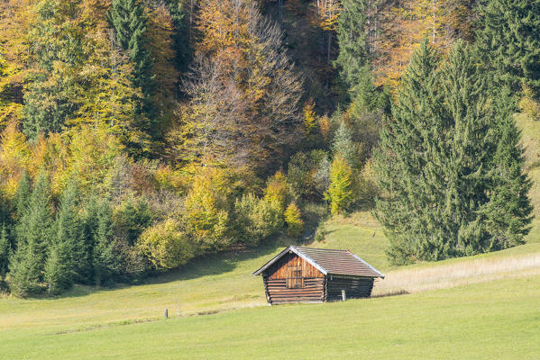 Lodge on a green meadow and fir trees in the background. Krün, Upper Bavaria, Bavaria, Germany.