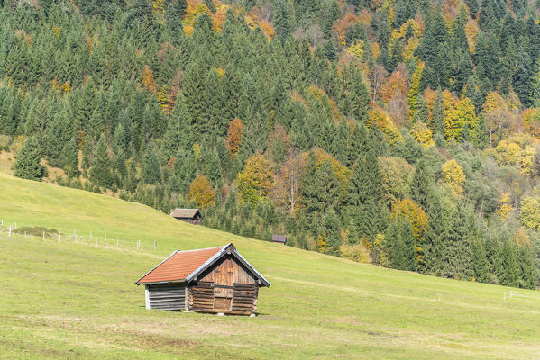 Lodges on a green meadow and fir trees in the background. Krün, Upper Bavaria, Bavaria, Germany.