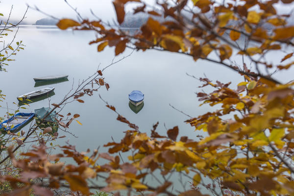 Boats on Sylvenstein Lake framed by beech leaves. Bad Tölz-Wolfratshausen district, Bavaria, Germany.