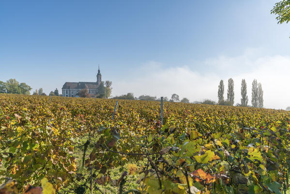 Birnau sanctuary and vineyards. Uhldingen-Mühlhofen, Baden-Württemberg, Germany.