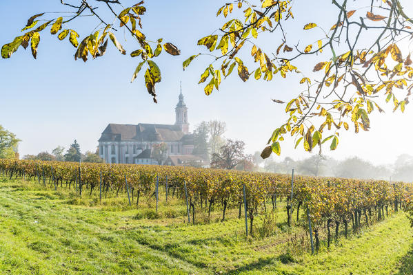 Birnau sanctuary and vineyards. Uhldingen-Mühlhofen, Baden-Württemberg, Germany.
