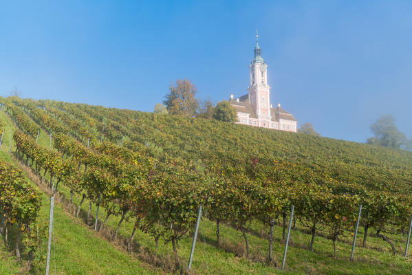 Birnau sanctuary and vineyards from below. Uhldingen-Mühlhofen, Baden-Württemberg, Germany.
