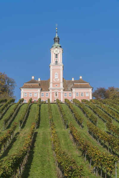 Birnau sanctuary and vineyards from below. Uhldingen-Mühlhofen, Baden-Württemberg, Germany.