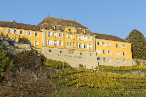 The town winery with its vineyard. Meersburg, Baden-Württemberg, Germany.