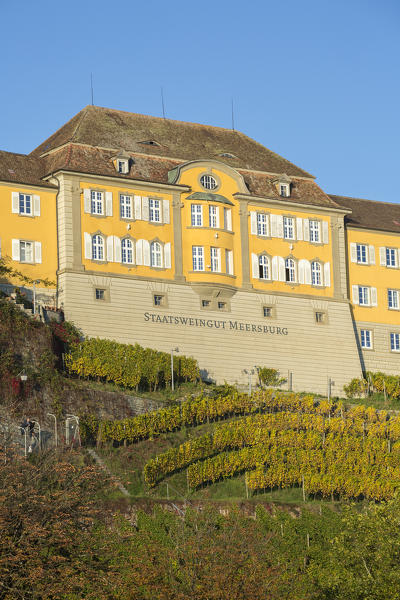 The town winery with its vineyard. Meersburg, Baden-Württemberg, Germany.