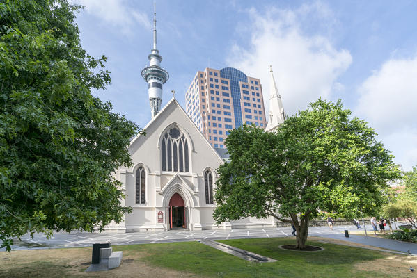 St Patrick's Cathedral and Sky Tower. Auckland City, Auckland Region, North Island, New Zealand.