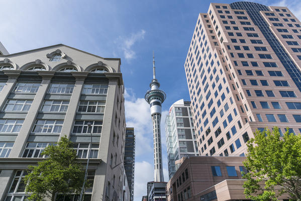 Auckland CBD with Sky Tower in the middle. Auckland City, Auckland region, North Island, New Zealand.