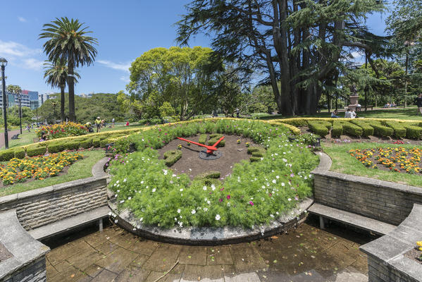 Floral clock in Albert Park. Auckland City, Auckland region, North Island, New Zealand.