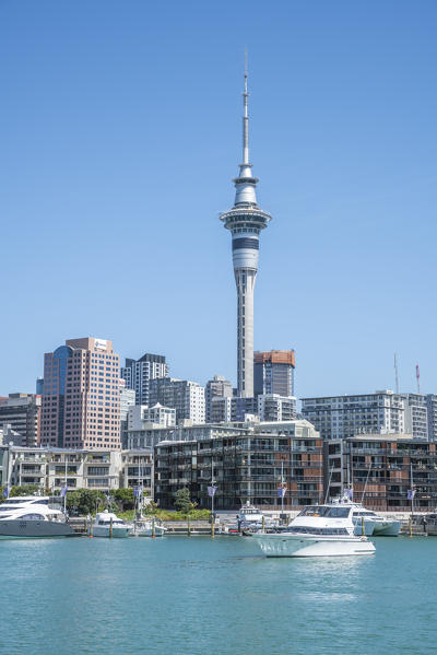 Boats in Viaduct Basin and Auckland CBD in the background. Auckland City, Auckland region, North Island, New Zealand.