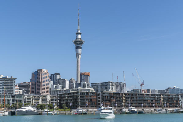 Boats in Viaduct Basin and Auckland CBD in the background. Auckland City, Auckland region, North Island, New Zealand.