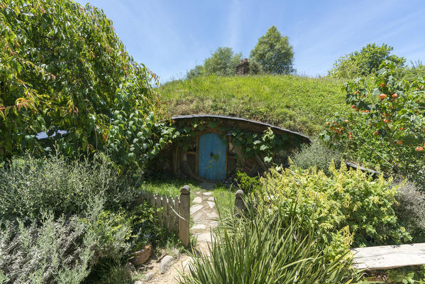 Hobbit house. Hobbiton Movie Set, Matamata, Waikato region, North Island, New Zealand.