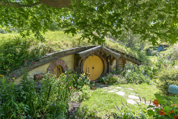 Hobbit house. Hobbiton Movie Set, Matamata, Waikato region, North Island, New Zealand.