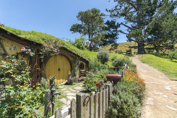 Samwise Gamgee's house. Hobbiton Movie Set, Matamata, Waikato region, North Island, New Zealand.