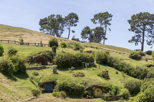 Hobbit houses on the hill. Hobbiton Movie Set, Matamata, Waikato region, North Island, New Zealand.