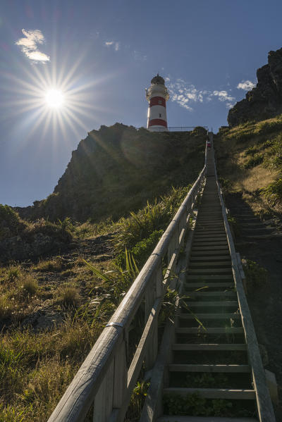 Steps to reach Cape Palliser lighthouse, Cape Palliser, Wellington region, North Island, New Zealand.