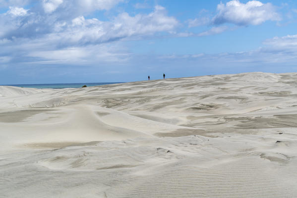 People walking on the sand dunes of Farewell Spit Nature Reserve. Puponga, Tasman district, South Island, New Zealand.