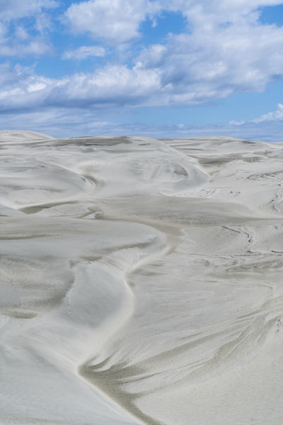 Sand dunes of Farewell Spit Nature Reserve. Puponga, Tasman district, South Island, New Zealand.