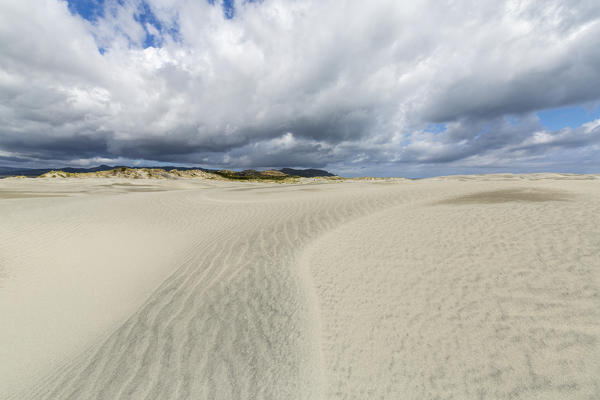 Farewell Spit Nature Reserve, Puponga, Tasman district, South Island, New Zealand.