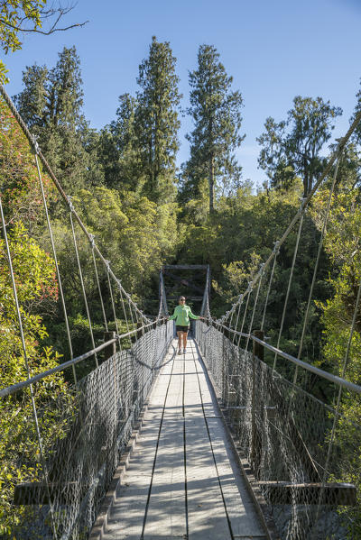 Young woman walking on a boardwalk over Hokitika river. Hokitika, West Coast region, South Island, New Zealand. (MR)