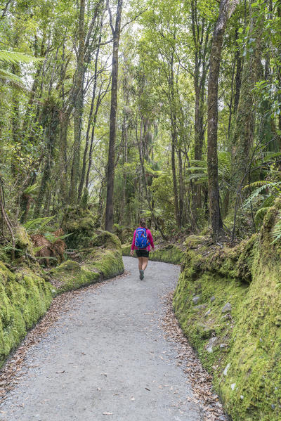 Woman walking the Te Ara Kairaumati Walk trail. Lake Matheson, Fox Glacier Village, West Coast region, South Island, New Zealand.