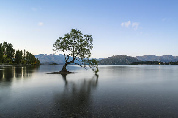 The lone tree in Lake Wanaka at dusk. Wanaka, Queenstown Lakes district, Otago region, South Island, New Zealand.