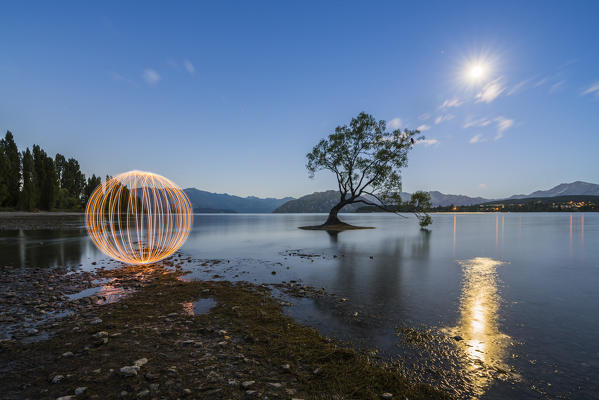 Steel Wool in front of the lone tree in Lake Wanaka under the moonlight at dusk. Wanaka, Queenstown Lakes district, Otago region, South Island, New Zealand.