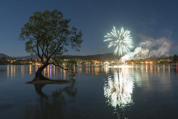 The lone tree in Lake Wanaka with fireworks for New Year's Eve. Wanaka, Queenstown Lakes district, Otago region, South Island, New Zealand.