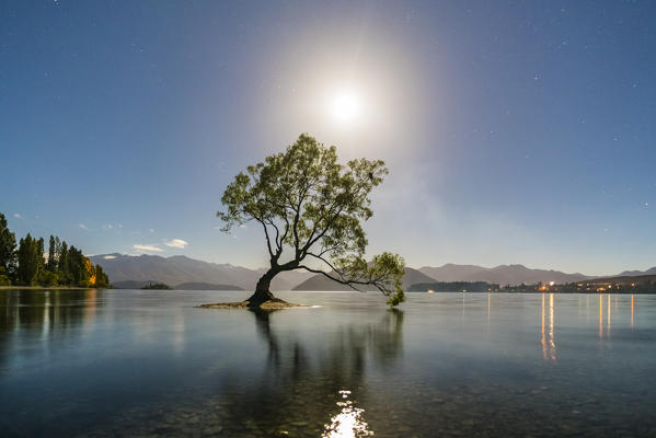 The lone tree in Lake Wanaka under the moonlight. Wanaka, Queenstown Lakes district, Otago region, South Island, New Zealand.