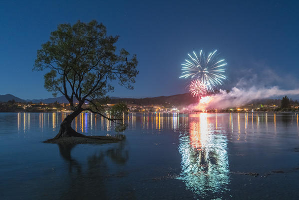 The lone tree in Lake Wanaka with fireworks for New Year's Eve. Wanaka, Queenstown Lakes district, Otago region, South Island, New Zealand.