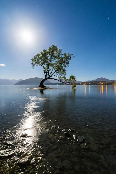 The lone tree in Lake Wanaka under the moonlight. Wanaka, Queenstown Lakes district, Otago region, South Island, New Zealand.