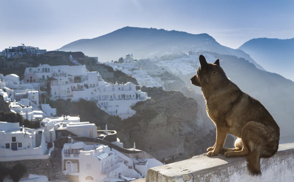 Oia, Santorini, Cyclades Islands, Greece
