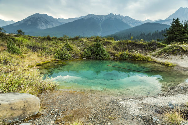 The colorful Inkpots in Johnston Canyon, Banff National Park, Alberta, Canada