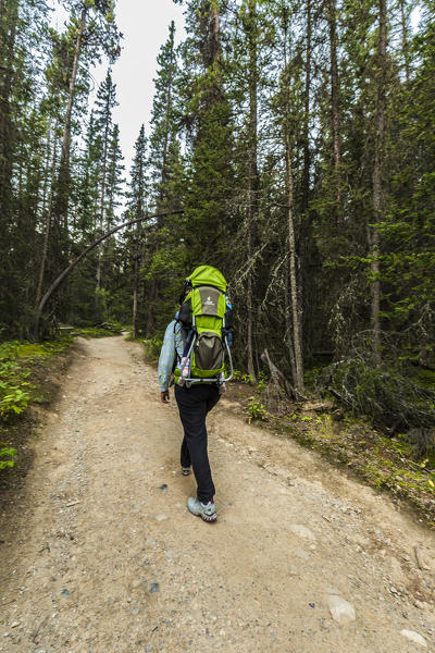 Hiking in Johnston Canyon, Banff National Park, Alberta, Canada