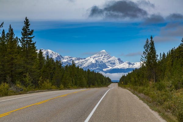 Icefields Parkway, Jasper National Park, Alberta, Canada