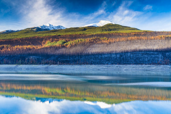 Autumn colors near Medicine Lake, Jasper National Park, Alberta, Canada